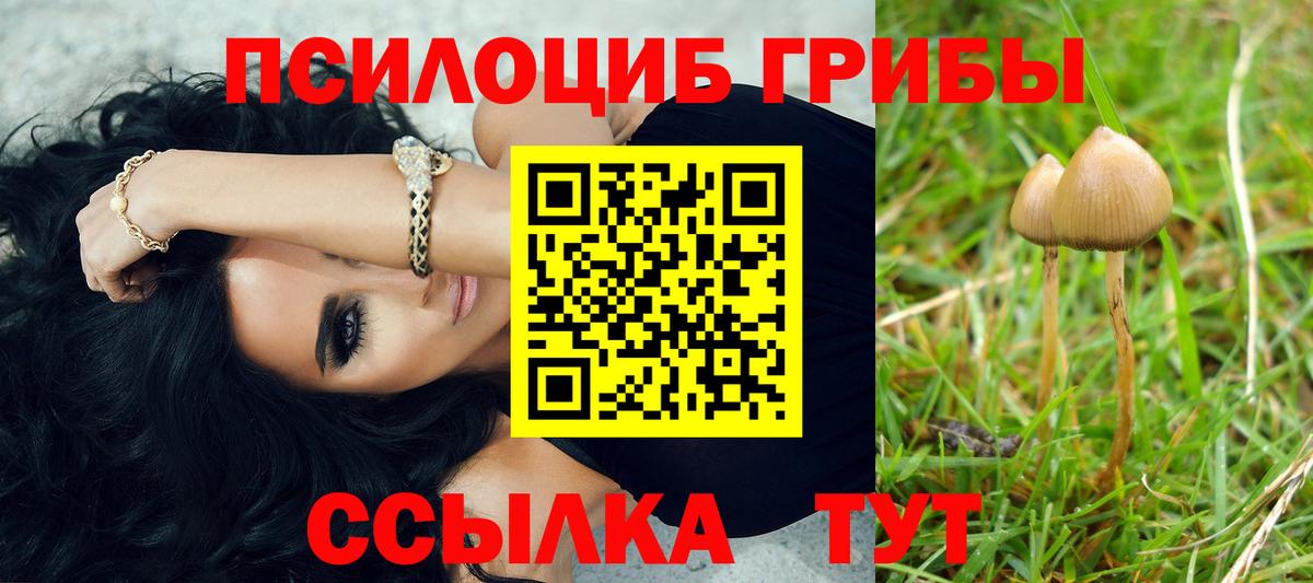 Псилоцибиновые грибы Psilocybe  Вход с VPN  Саянск 