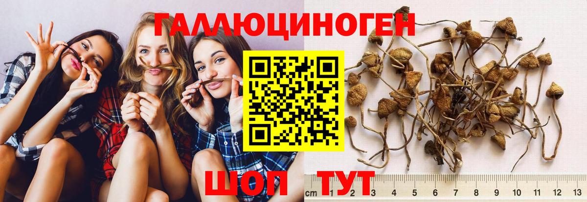 Галлюциногенные грибы Magic Shrooms Саянск